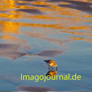 Am Strand von Altura
