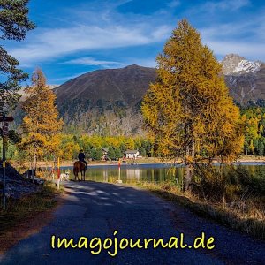 Ausritt am Stazer See