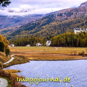 Weg zum Hotel Waldhaus