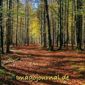 Herbst am Königssee