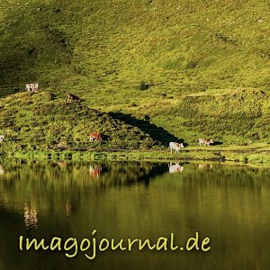 Morgens am Schwellisee