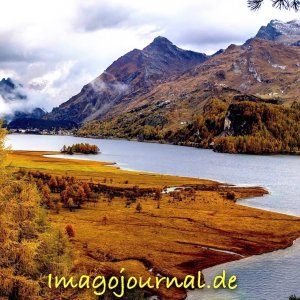 Silser See im Herbst